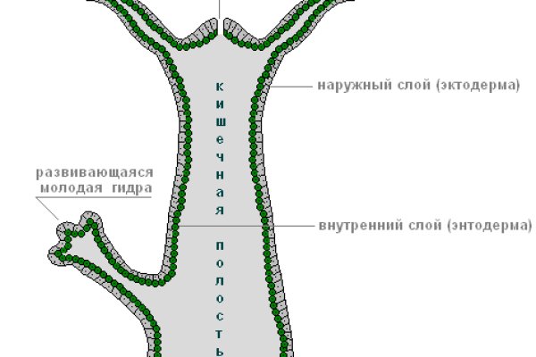 Мега сб даркнет