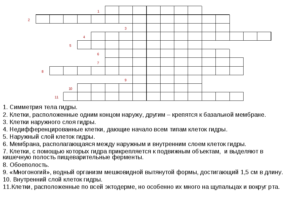 Правильная ссылка на omg omg онион