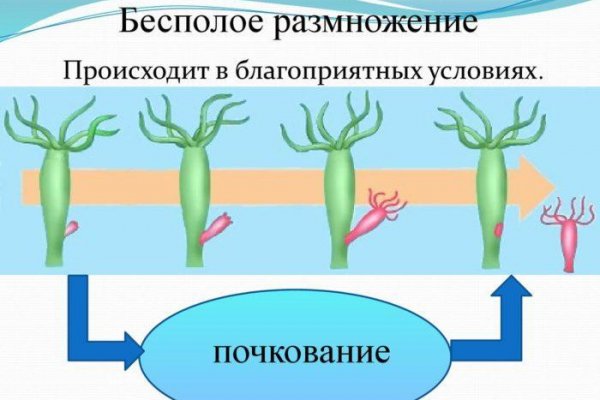 Знак меги даркнет